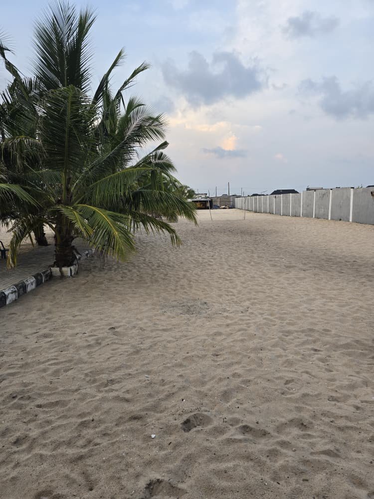 Meadow Ceremony Field For 1000 Guests